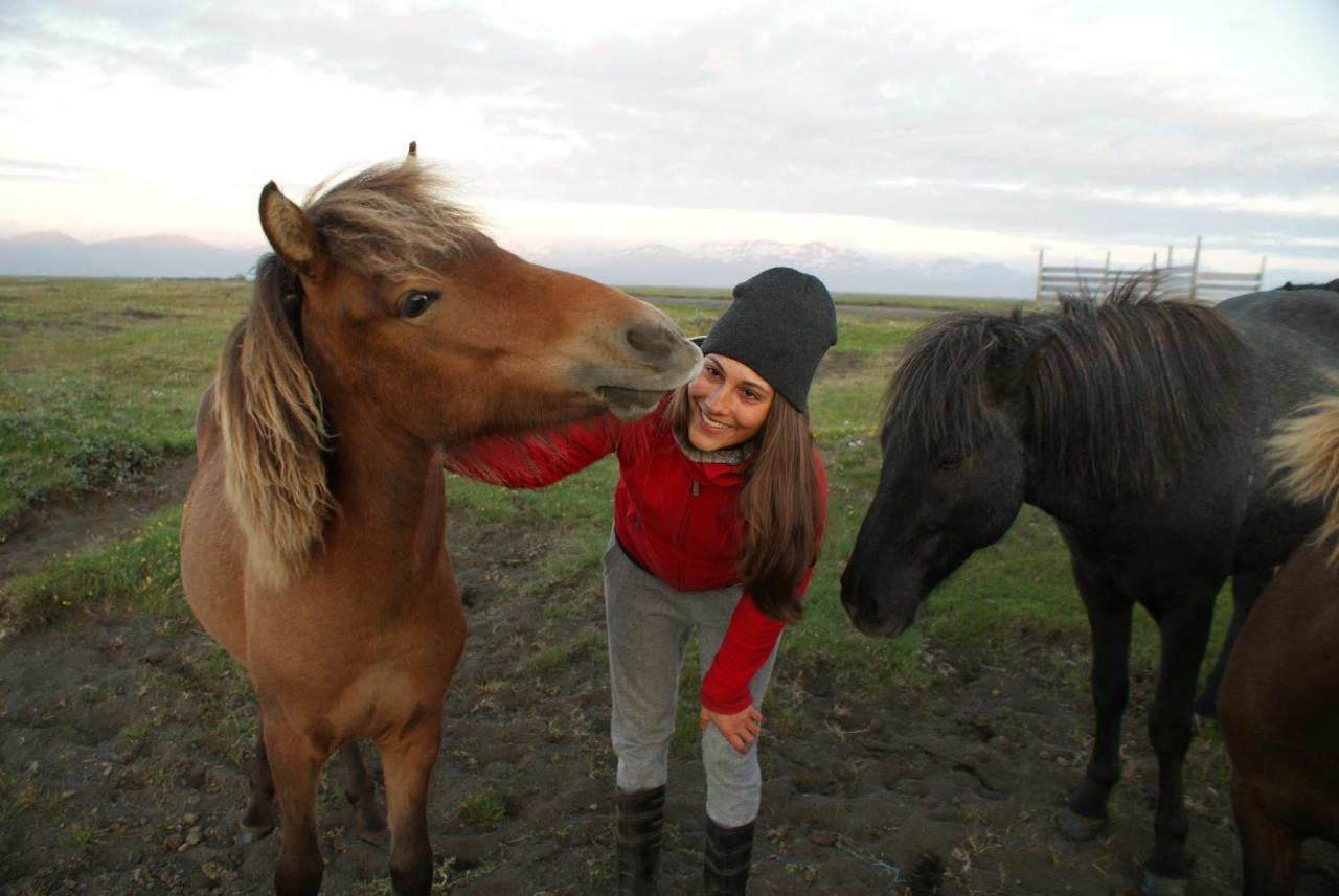 Husey Hostel & Horsefarm Egilsstaðir Exteriör bild