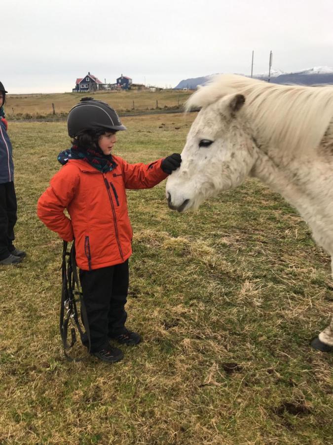 Husey Hostel & Horsefarm Egilsstaðir Exteriör bild