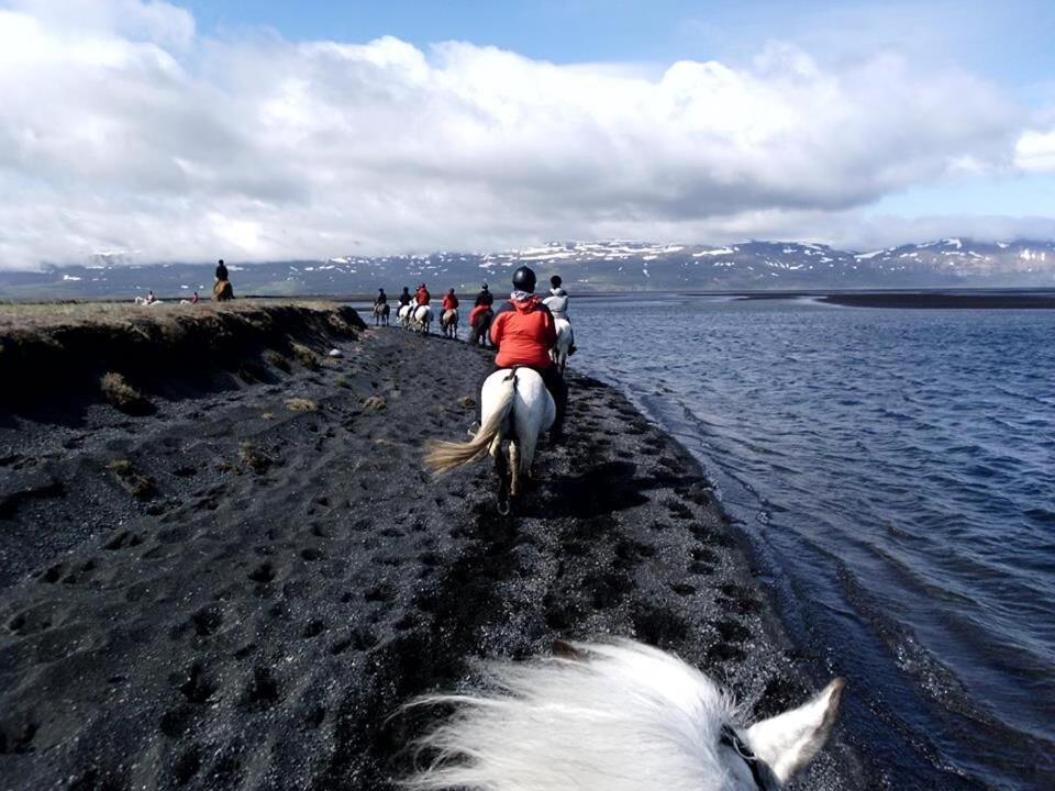 Husey Hostel & Horsefarm Egilsstaðir Exteriör bild
