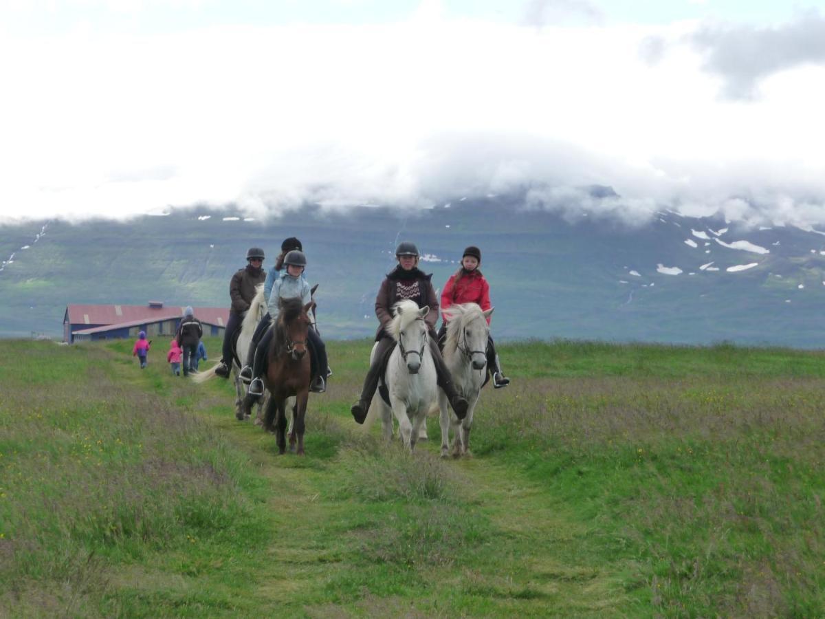 Husey Hostel & Horsefarm Egilsstaðir Exteriör bild
